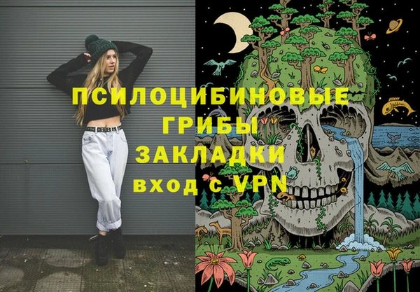 шишки Магас