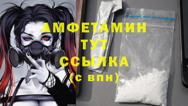 шишки Магас