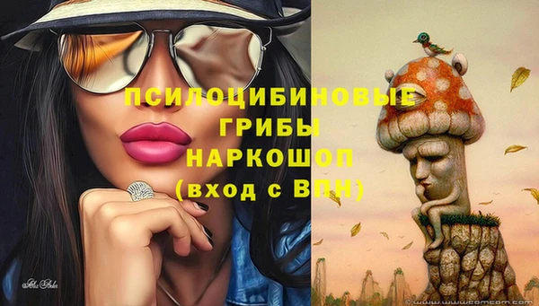 метадон Медногорск