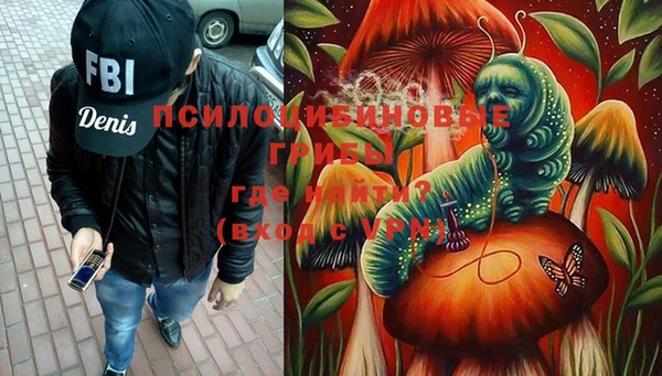 амф Магадан