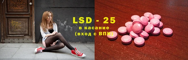 шишки Магас