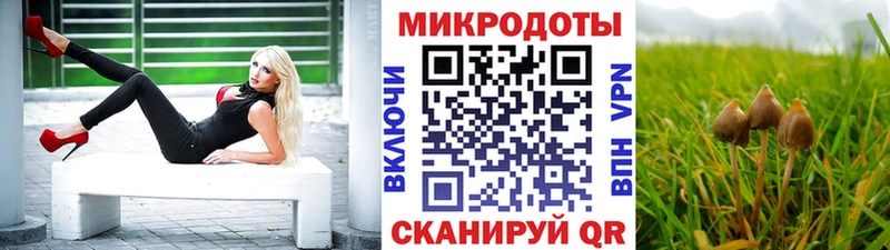 Купить закладки  Котовск  Псилоцибиновые грибы Psilocybine cubensis 